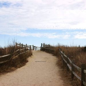 5x7 Original Photography Beckoning Beach Path